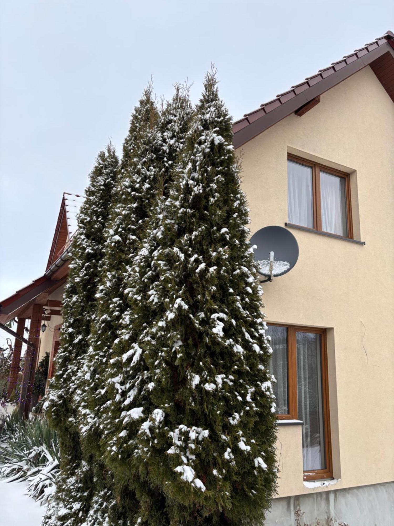 Appartement Wisniowy Sad à Kudowa-Zdrój Extérieur photo